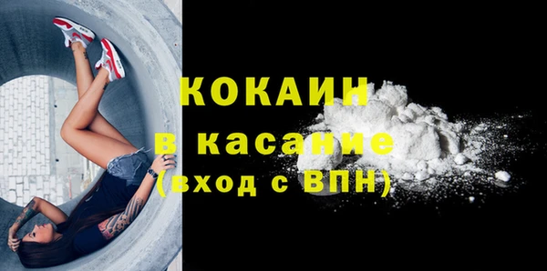 гидра Осинники