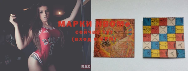 гидра Осинники