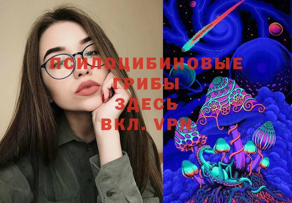 мдпв Протвино