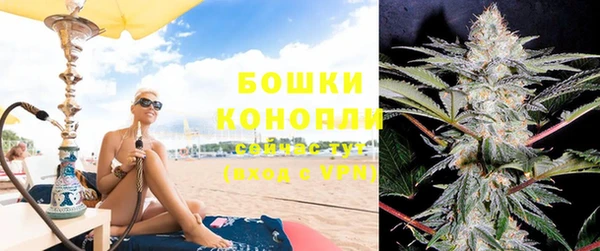 гидра Осинники