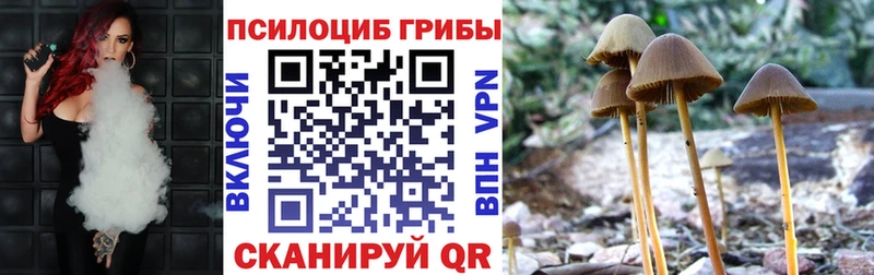 Галлюциногенные грибы Magic Shrooms  площадка формула  Кушва 