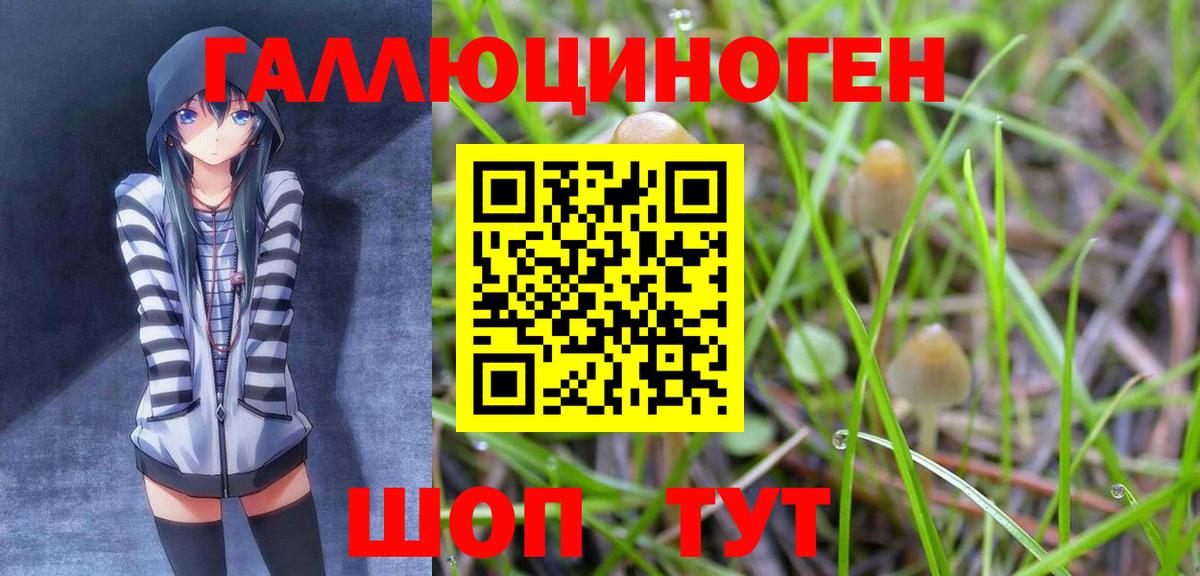 Галлюциногенные грибы Psilocybe  Вход с VPN  Кушва  Псилоцибиновые грибы прущие грибы 